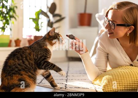 Smiling woman freelancer lies on the carpet in living room, plays with cat a toy mouse at home during lockdown due to coronavirus. Quarantine life, se Stock Photo