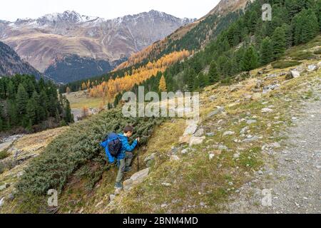 Europe, Austria, Tyrol, Stubai Alps, Sellrain, St. Sigmund im Sellrain, boy hikes through the Gleirschtal towards Pforzheimer Hütte Stock Photo