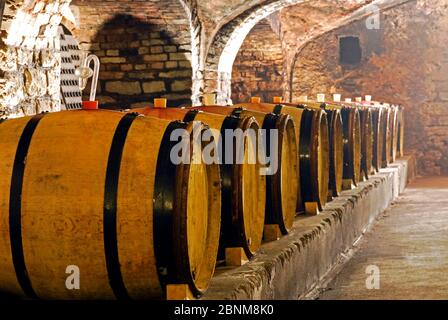 Wooden barrels in wine cellar, Palzem, Obermosel, Rheinand-Pfalz, Germany Stock Photo