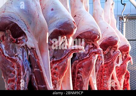 Halves of pork in a butcher's cold store, detail Stock Photo