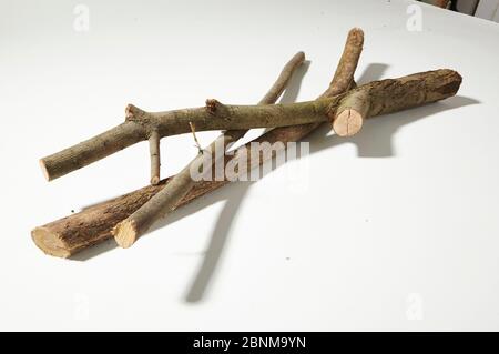 Construction of a wooden shelf, do-it-yourself production, step-by-step, material photo: sawn off branches Stock Photo