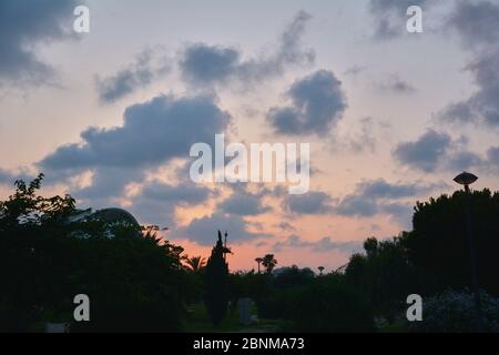 Nice sunset in a park in a city, Colors of nature Stock Photo