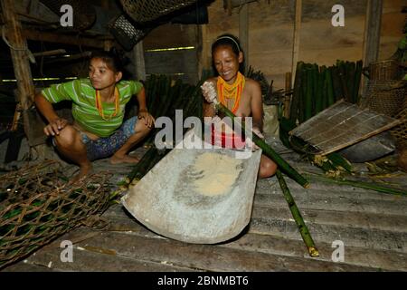 Mentawai women preparing semolina for cooking. Siberut Island, Sumatra. July 2016. Stock Photo