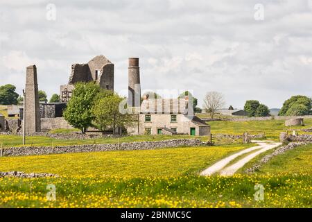 Magpie Mine near Monyash surrounded by fields of Meadow buttercups (Ranunculus acris) Peak District National Park, Derbyshire, England, UK, May. Stock Photo