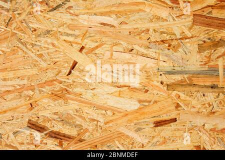 Coarse particle board, close up Stock Photo