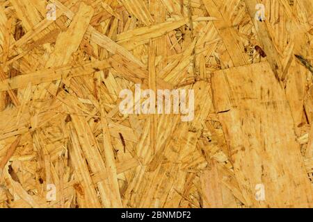 Coarse particle board, close up Stock Photo