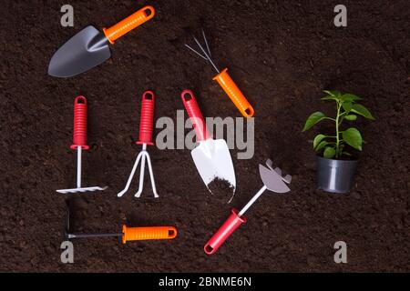 Garden tools on soil background. Planting concept. Working in the spring garden. Stock Photo