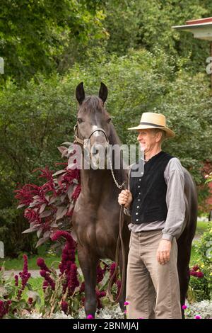 Canadian Horse mare and her handler standing, at Upper Canada Village Museum, Morrisburg, Ontario, Canada. Critically Endangered horse breed.  Septemb Stock Photo