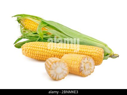 Sweet corns ears isolated on white background. Stock Photo