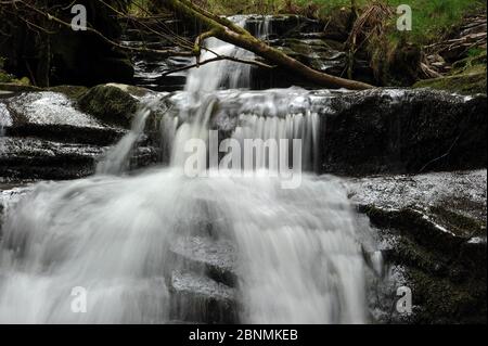 Small waterfall at the confluence of Nant Bwrefwr and its last tributary stream. Stock Photo