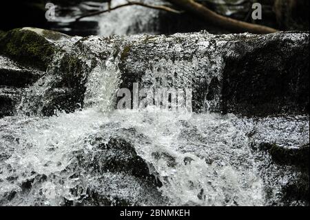 Small waterfall at the confluence of Nant Bwrefwr and its last tributary stream. Stock Photo