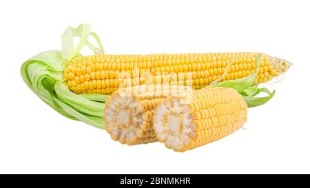Sweet corns ears isolated on white background. Stock Photo