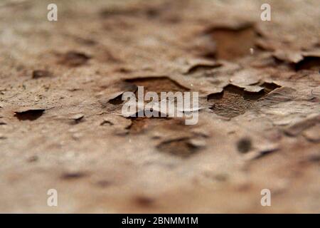 Rust on a metal railing, white, textures, gray and white, roughness, macro Stock Photo