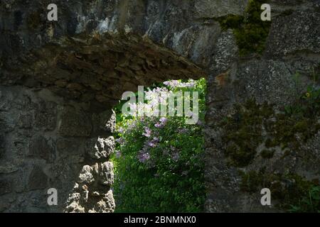 Gate made of natural stones is made to last Stock Photo
