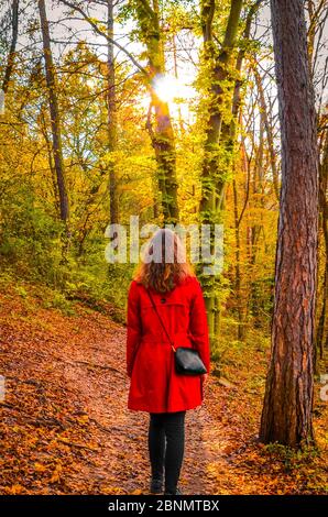 Young Caucasian woman in a red coat on a path in a colorful autumn forest. Sun shining through the trees. Fall fashion, colors, and style. Autumn fashion trends. Little Red Riding Hood concept. Stock Photo