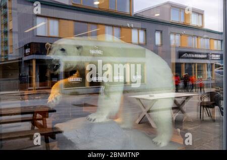 Polar bear  stuffed animal in shop window,  Longyearbyen, Svalbard, July 2016. Stock Photo
