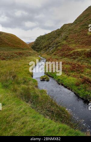 Moorland habitat in autumn with stream, Island of Jura, Scotland,UK, September Stock Photo