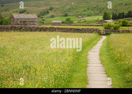 Path through flowering meadows near Muker in Swaledale, Yorkshire Dales, UK Stock Photo