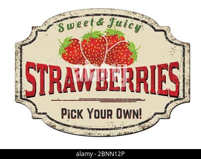 Strawberries vintage rusty metal sign on a white background, vector illustration Stock Vector