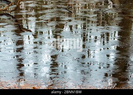 Onset of winter, water surface freezes over, close-up Stock Photo
