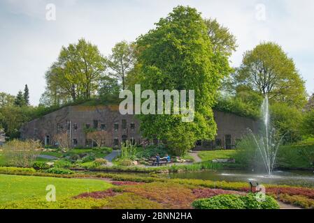 Utrecht University Botanic Gardens, the Netherlands, May 2013. Stock Photo