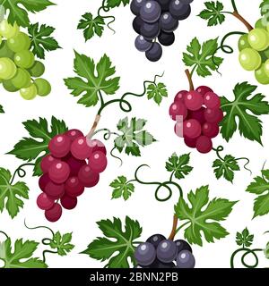 Vector seamless background with black, red and green grape vines on a white background. Stock Vector