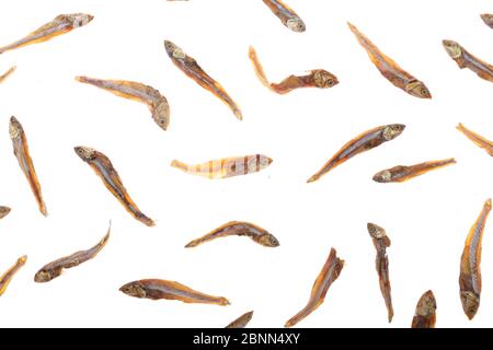 Dried fishes isolated on white background with clipping path Stock Photo