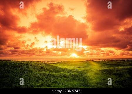 Dune landscape with sunset at Blåvand Strand, Denmark Stock Photo