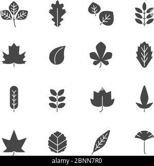 Autumn leaves icons. Silhouettes of various autumn leaves Stock Vector