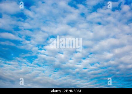 Blue sky with white clouds. Gentle sky background. Stock Photo