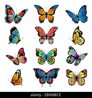 Various cartoon butterflies. Set vector illustrations of butterflies Stock Vector
