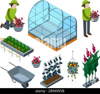 Farm greenhouse isometric. Agricultural wheelbarrow glasshouses for tomato horticulture concept vector 3d pictures Stock Vector