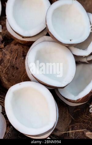 Coconut in shell halved halves, Morocco Stock Photo