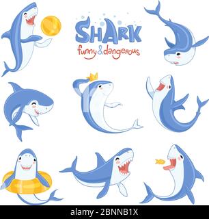 Cartoon shark swimming. Ocean big teeth blue fish smiling and angry vector illustrations of mammals characters in various pose Stock Vector