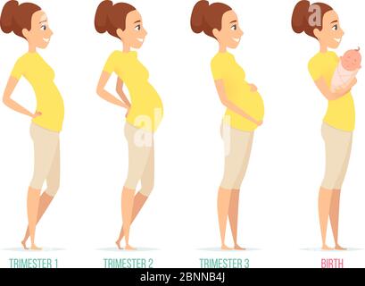 Pregnancy stages. Happy mom with newborn child female pregnancy trimesters vector characters isolated Stock Vector