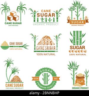 Sugarcane manufacturing. Sweets plants production farm industry leaf vector badges or labels with place for your text Stock Vector