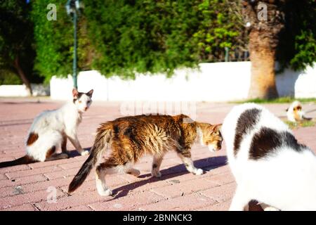 welcome to Tunisia, welcome to Sousse and El Kantaoui Stock Photo