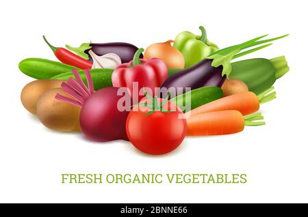 Vegetables collection 3d. Organic vegan healthy food nutrition vector realistic pictures Stock Vector