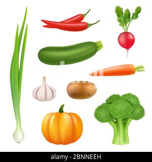 Vegetables realistic pictures. Healthy fresh food pumpkin broccoli cucumber pepper carrot vector 3d illustrations Stock Vector
