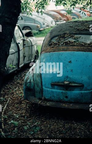 Rusty car on  a junk yard. Old car with autumn leafs Stock Photo