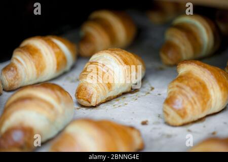 freshly baked croissants on a tray at  bakery Stock Photo