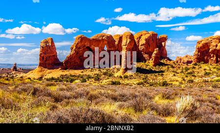 Unique Red Sandstone Formations of the Parade of Elephants in Arches National Park near the town of Moab in Utah, United States Stock Photo