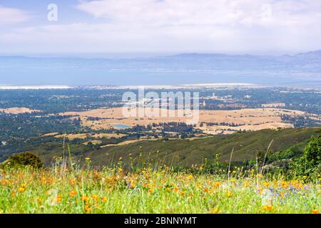 Aerial view of Palo Alto, Stanford University, Redwood City and Menlo Park, part of Silicon Valley; wildflower field visible in the foreground; San Fr Stock Photo