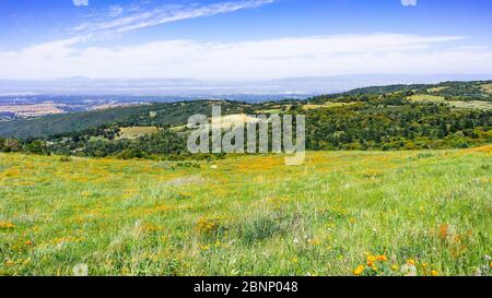 Wildflower covered meadows and green hills in Santa Cruz mountains; Silicon Valley and the shoreline of South San Francisco bay, visible in the backgr Stock Photo