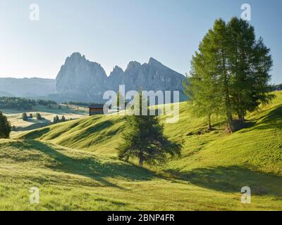 Sassolungo, Alpe di Siusi, South Tyrol, Italy Stock Photo