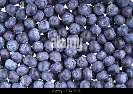 Fresh blueberries background. Texture juicy blueberry berries close up. Healthy eating or nutrition. Vegan and vegetarian concept. Top view, macro Stock Photo