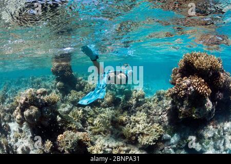 Snorkeling at French Polynesia, Apataki Atoll, Tuamotu Archipel, French Polynesia Stock Photo