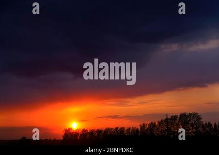 magical dramatic sunrise with tree. Dark, ominous clouds. Red, purple and blue tones Stock Photo