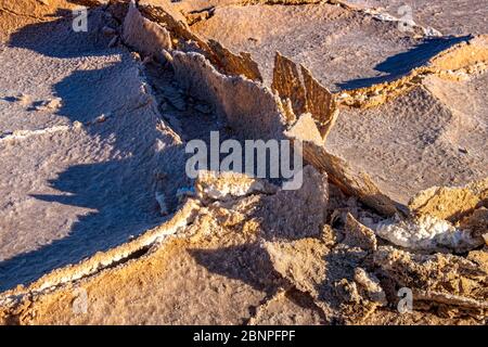 Sunset / Sunrise at white salt crusts on mud at the shore of the large, arid-zone Kati Thanda-Lake Eyre in outback in northern South Australia Stock Photo