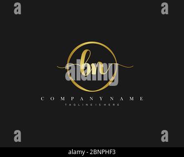 BN Signature style monogram.Calligraphic lettering icon vector Stock Vector